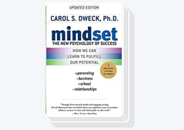 mindset business book